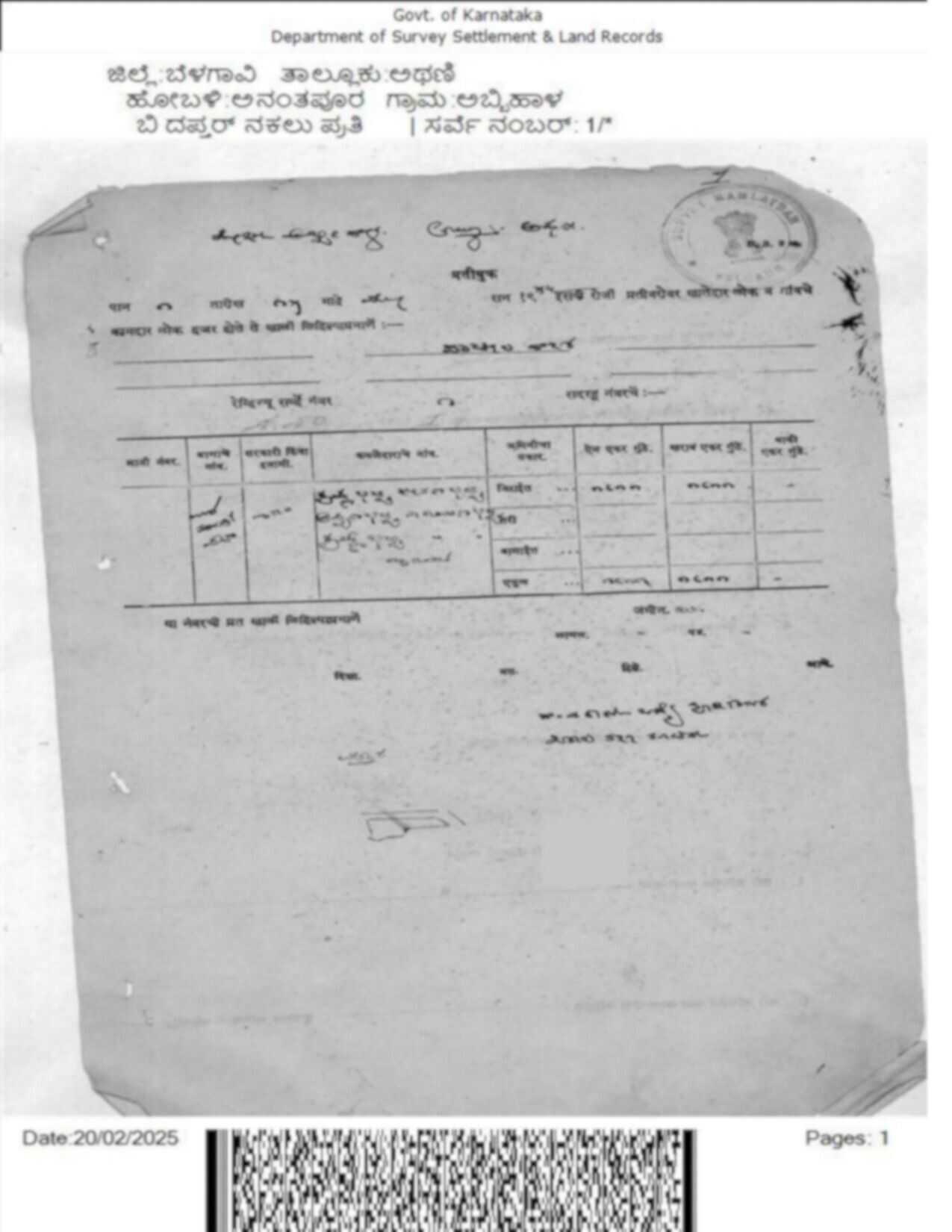 Survey Documents